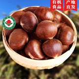 Authentic Qianxi Fresh Chestnuts